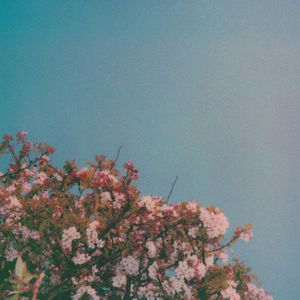 甘婷婷三级片打
